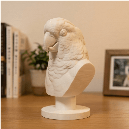 タイハクオウムのルネサンス肖像画胸像