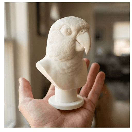 ナナイロメキシコインコのルネサンス肖像画胸像 2