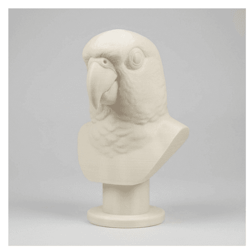ナナイロメキシコインコのルネサンス肖像画胸像 3