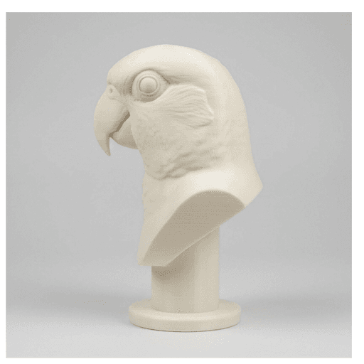 ナナイロメキシコインコのルネサンス肖像画胸像 4
