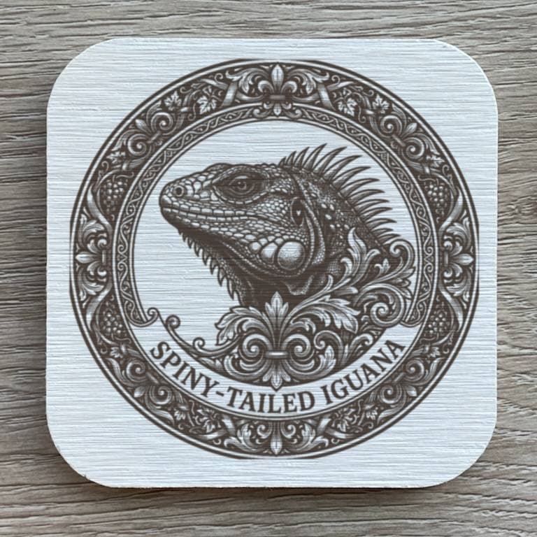 トゲオイグアナのルネサンス肖像画コースターセット