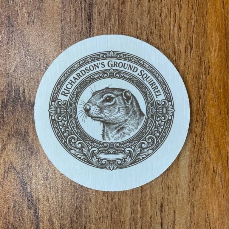 Richardson's ground squirrel Renaissance Portrait Coaster Set 3