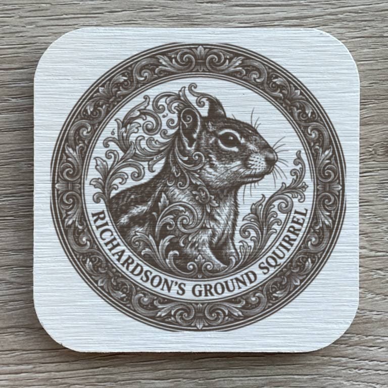 Richardson's ground squirrel Renaissance Portrait Coaster Set