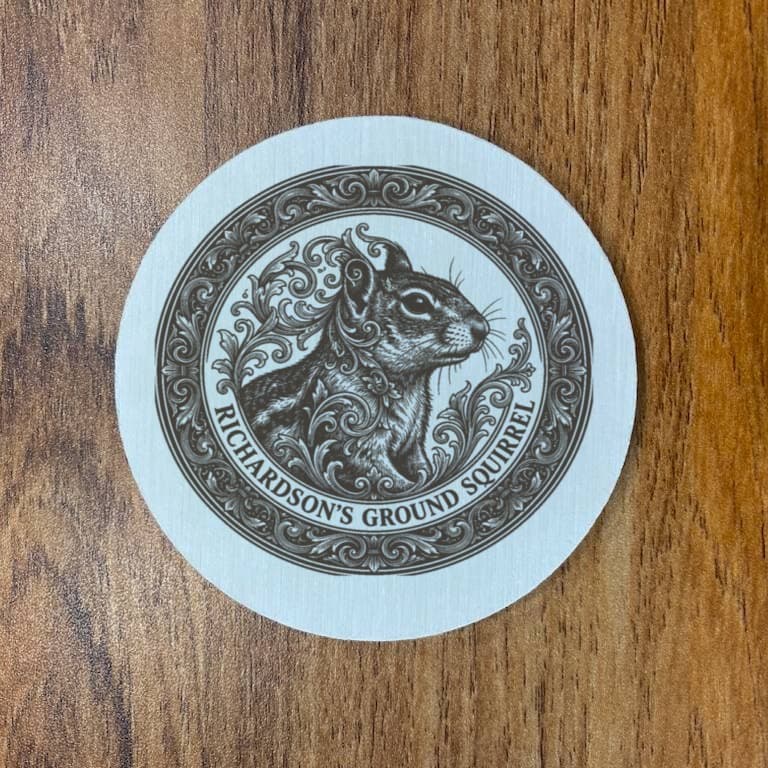 Richardson's ground squirrel Renaissance Portrait Coaster Set 3