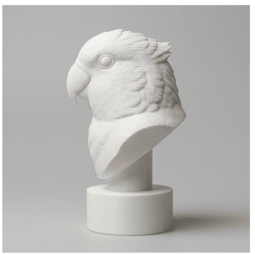 コザクラインコのルネサンス肖像画胸像 4