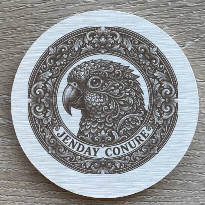 Jenday Conure Renaissance Portrait Coaster Set 2