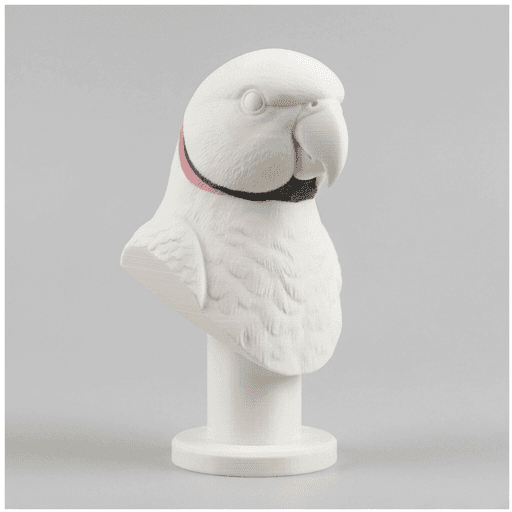 インドオオハナインコのルネサンス肖像画胸像 3