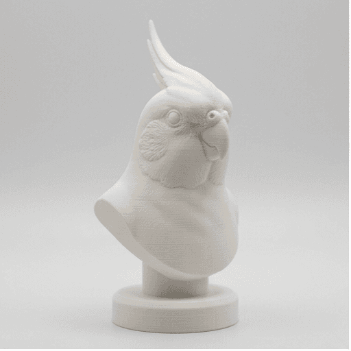 オカメインコのルネサンス肖像画胸像 3