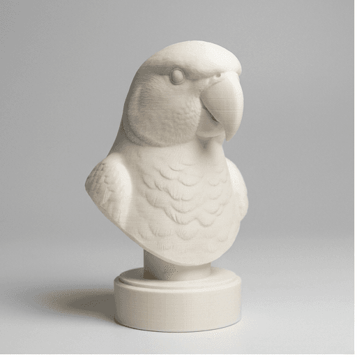 アレクサンドリンインコのルネサンス肖像画胸像 3