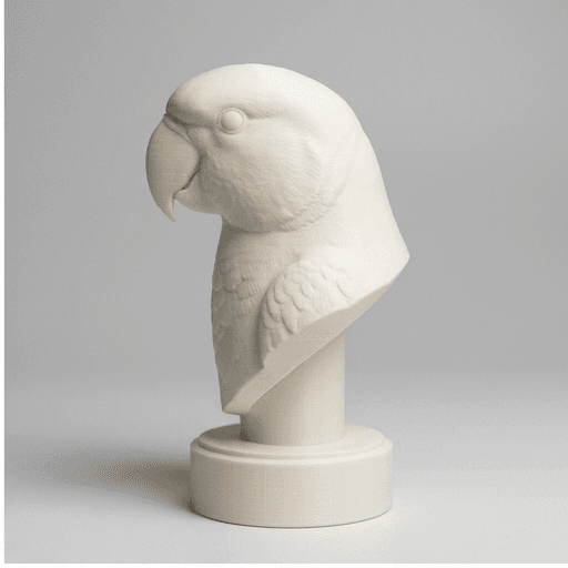 アレクサンドリンインコのルネサンス肖像画胸像 4
