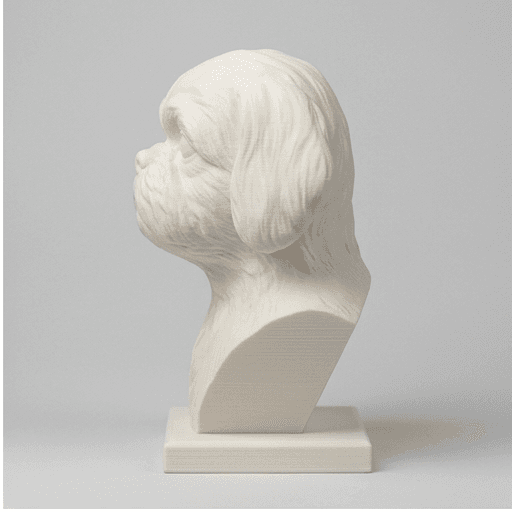Shih Tzu Renaissance Portrait Bust Sculpture 4