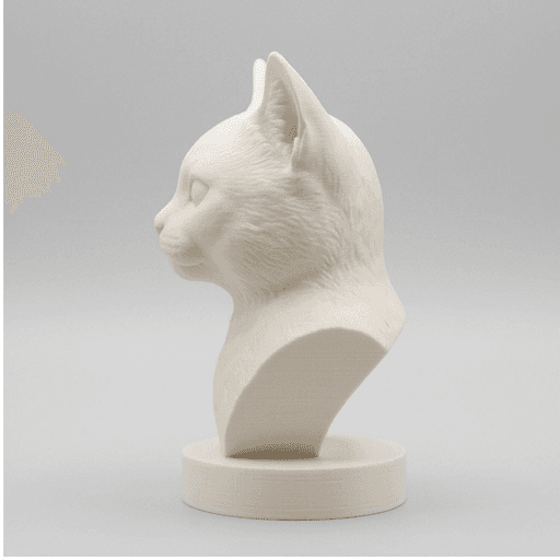 マンチカンのルネサンス肖像画胸像 4