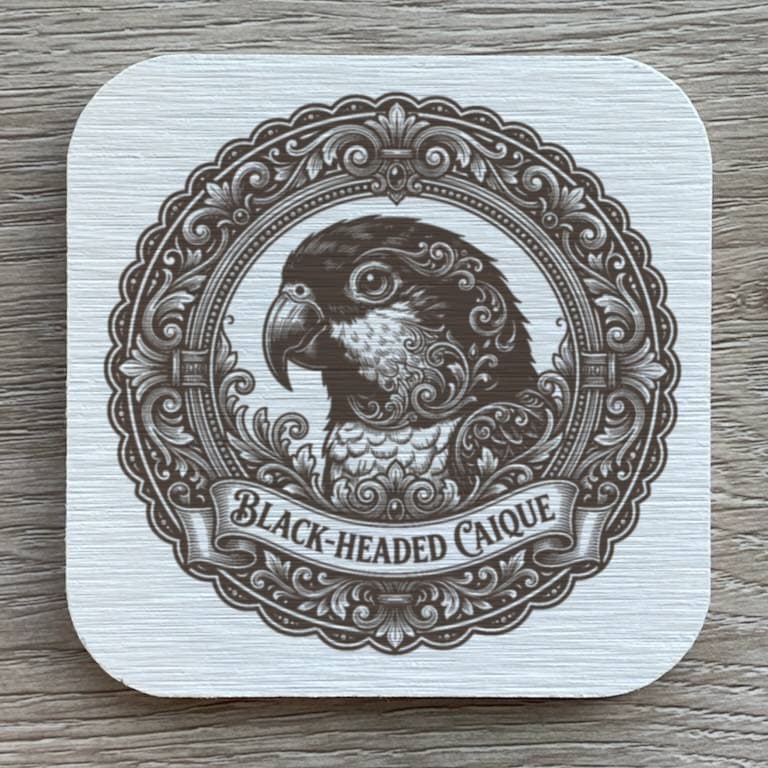 Black-headed Caique Renaissance Portrait Coaster Set