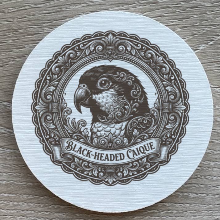 Black-headed Caique Renaissance Portrait Coaster Set 2