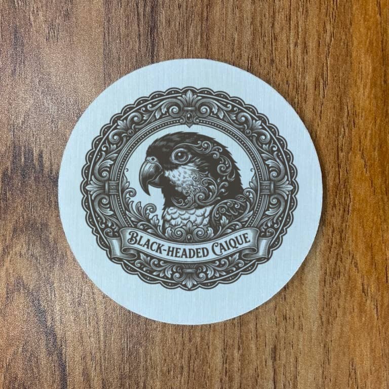 Black-headed Caique Renaissance Portrait Coaster Set 3