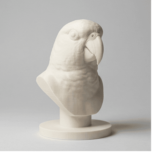 アカハラインコのルネサンス肖像画胸像 3