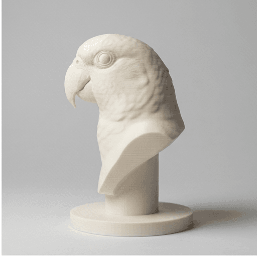 アカハラインコのルネサンス肖像画胸像 4