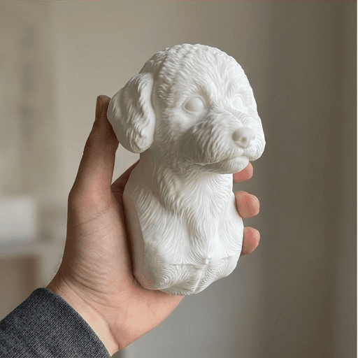 ビションフリーゼのルネサンス肖像画壁掛けレリーフ 4