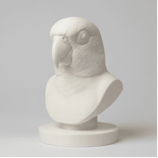 ナナイロメキシコインコのルネサンス肖像画胸像 3