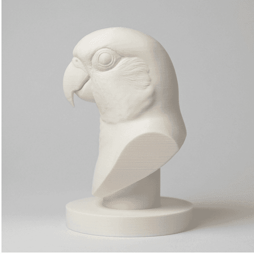 ナナイロメキシコインコのルネサンス肖像画胸像 4