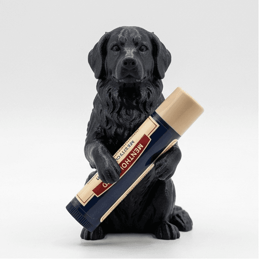 Bernese mountain dog Renaissance Portrait Lip Balm Case (Silky Black)