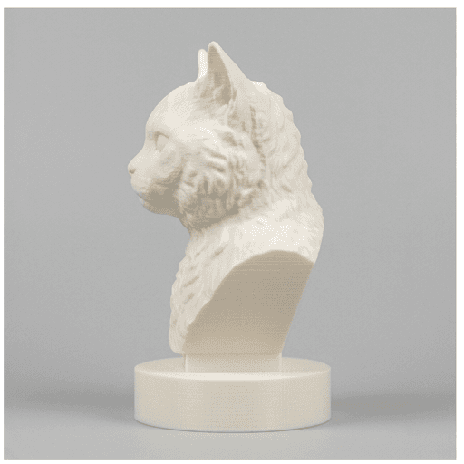 セルカークレックスのルネサンス肖像画胸像 4