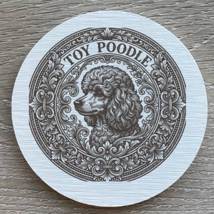 toy poodle Renaissance Portrait Coaster Set 2