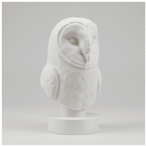 メンフクロウのルネサンス肖像画胸像 3