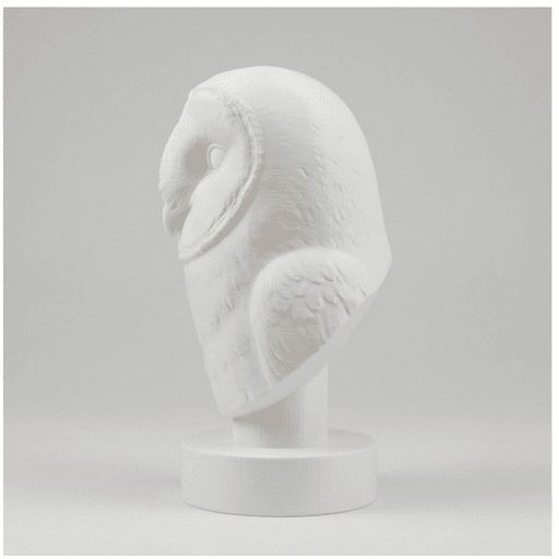 メンフクロウのルネサンス肖像画胸像 4