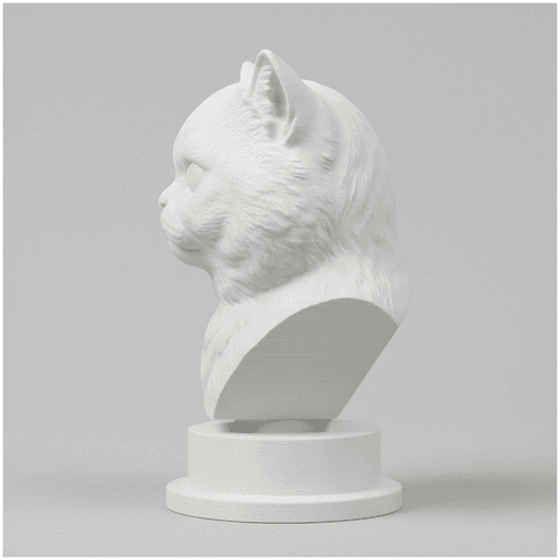 チンチラペルシャのルネサンス肖像画胸像 4