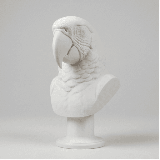 コンゴウインコのルネサンス肖像画胸像 3