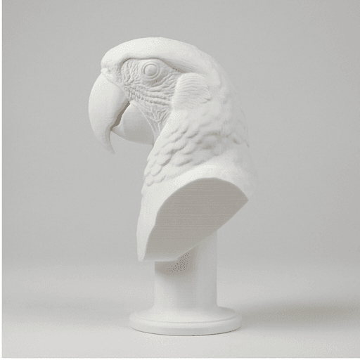 コンゴウインコのルネサンス肖像画胸像 4