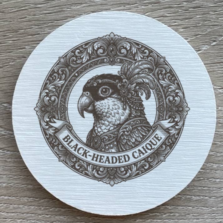 ズグロシロハラインコのルネサンス肖像画コースターセット 2