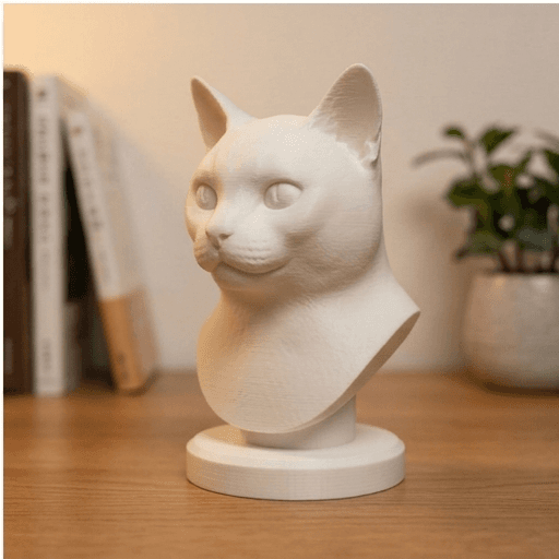 シャルトリューのルネサンス肖像画胸像