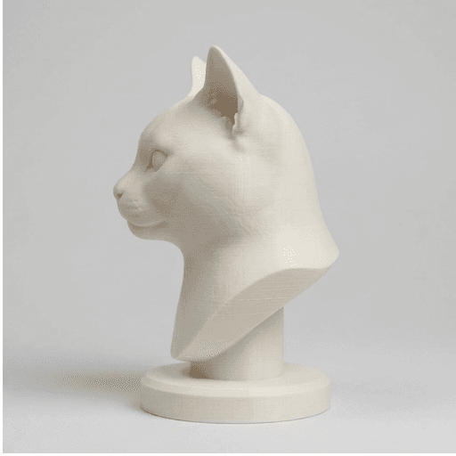シャルトリューのルネサンス肖像画胸像 4