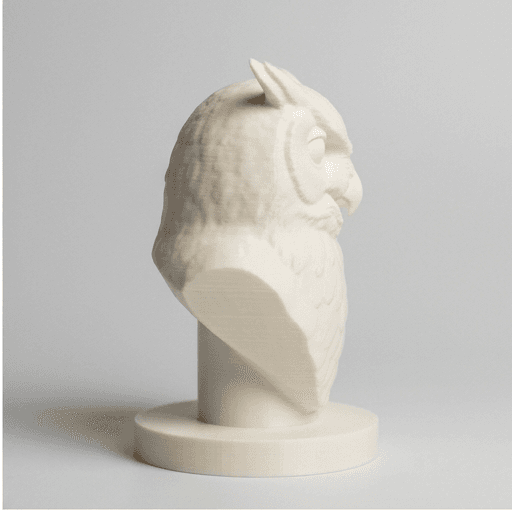 ベンガルワシミミズクのルネサンス肖像画胸像 4
