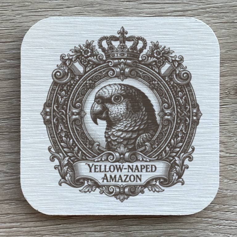 Yellow-naped Amazon Renaissance Portrait Coaster Set