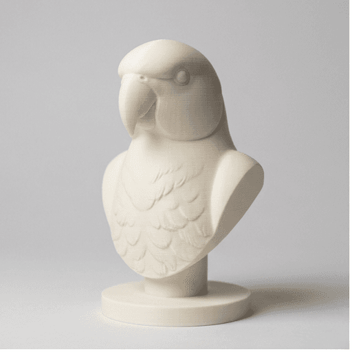 インドオオハナインコのルネサンス肖像画胸像 3
