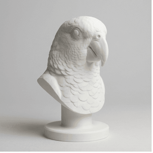 キエリボウシインコのルネサンス肖像画胸像 3