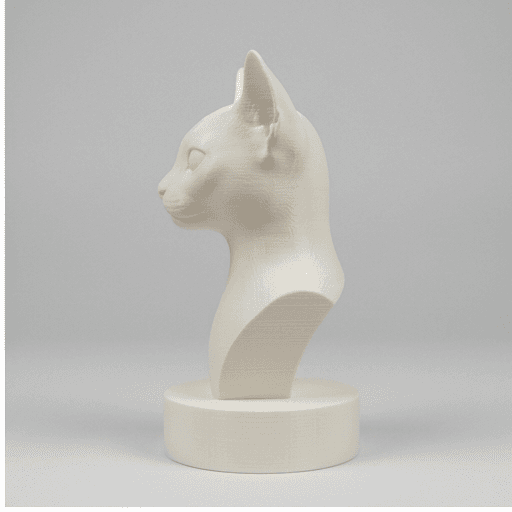 アビシニアンのルネサンス肖像画胸像 4