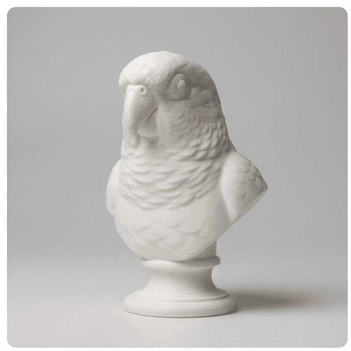 ウロコインコのルネサンス肖像画胸像 3