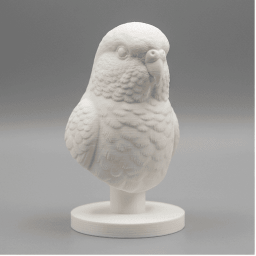 アキクサインコのルネサンス肖像画胸像 3