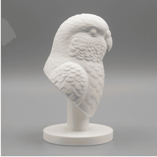 アキクサインコのルネサンス肖像画胸像 4